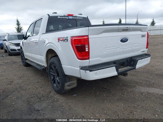 Ford F-150 Xlt 2021 1FTEW1EP4MKD63461 Image 3