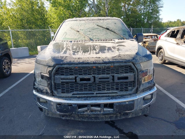 1FTEW1E86HKE29183 Ford F-150 Xlt