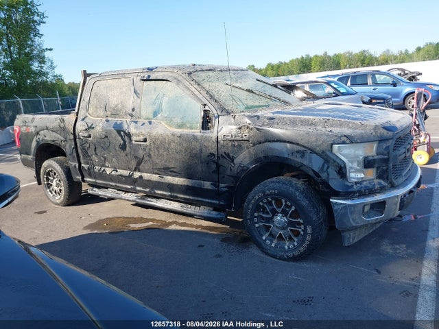 1FTEW1E86HKE29183 Ford F-150 Xlt