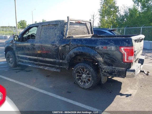 1FTEW1E86HKE29183 Ford F-150 Xlt