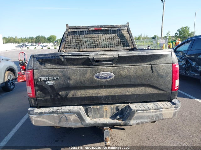 1FTEW1E86HKE29183 Ford F-150 Xlt