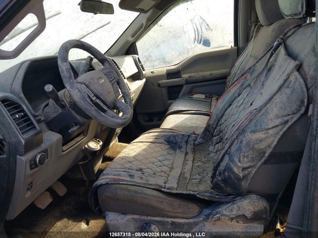 1FTEW1E86HKE29183 Ford F-150 Xlt