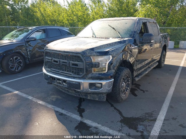 1FTEW1E86HKE29183 Ford F-150 Xlt