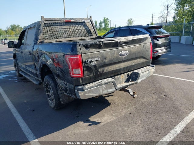 1FTEW1E86HKE29183 Ford F-150 Xlt