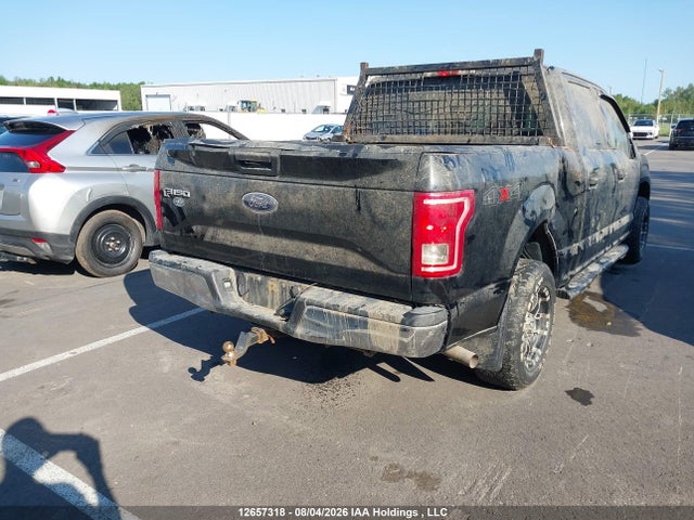 1FTEW1E86HKE29183 Ford F-150 Xlt