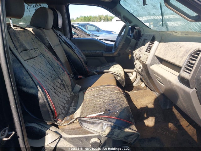1FTEW1E86HKE29183 Ford F-150 Xlt