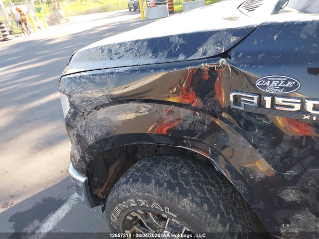1FTEW1E86HKE29183 Ford F-150 Xlt