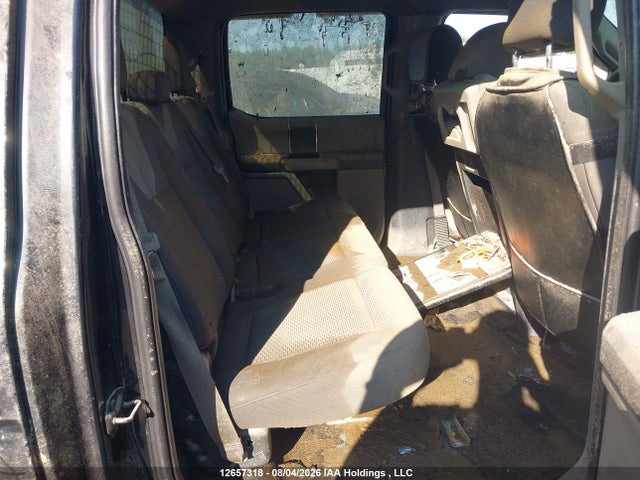 1FTEW1E86HKE29183 Ford F-150 Xlt