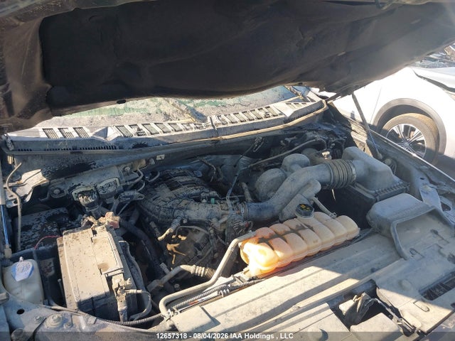 1FTEW1E86HKE29183 Ford F-150 Xlt