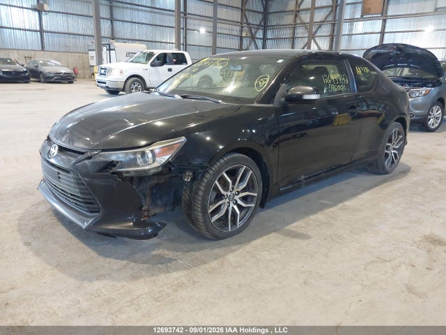 12693742 :رقم المزاد ، JTKJF5C76F3096001 vin ، 2015 Scion Tc مزاد بيع