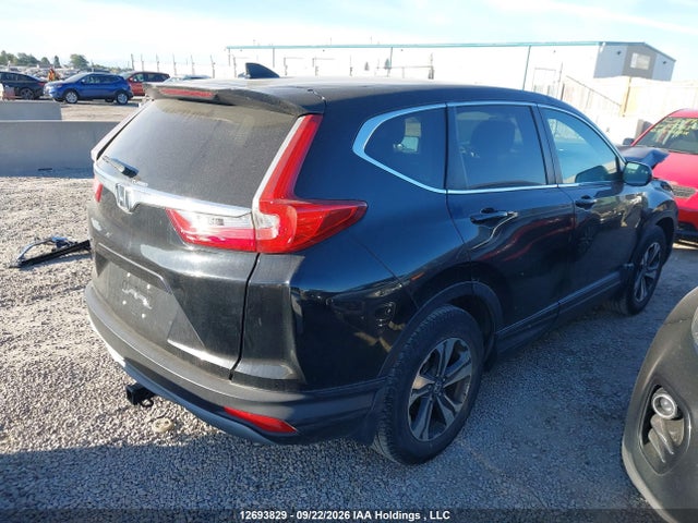 Honda CR-V LX 2017 2HKRW1H37HH002613 Image 4
