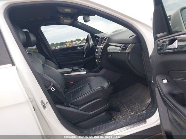 Mercedes-Benz Ml 350 Bluetec 2015 4JGDA2EB4FA533522 Image 5