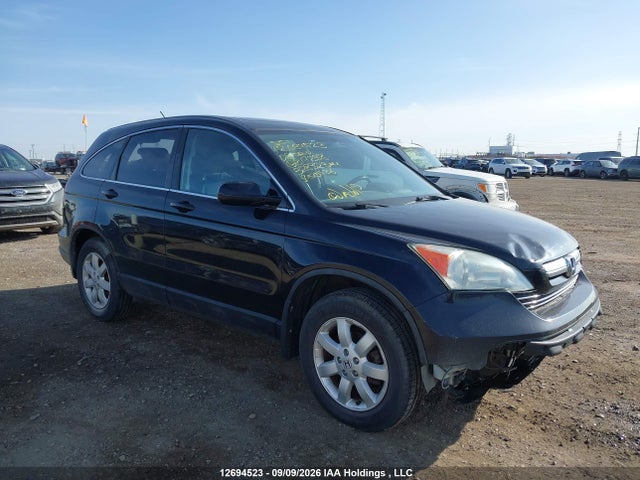 Auction sale of the 2008 Honda Cr-v Ex-l, vin: 5J6RE487X8L817238, lot number: 12694523