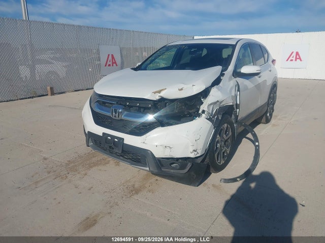 Honda CR-V EXL 2019 2HKRW2H85KH118420 Image 6