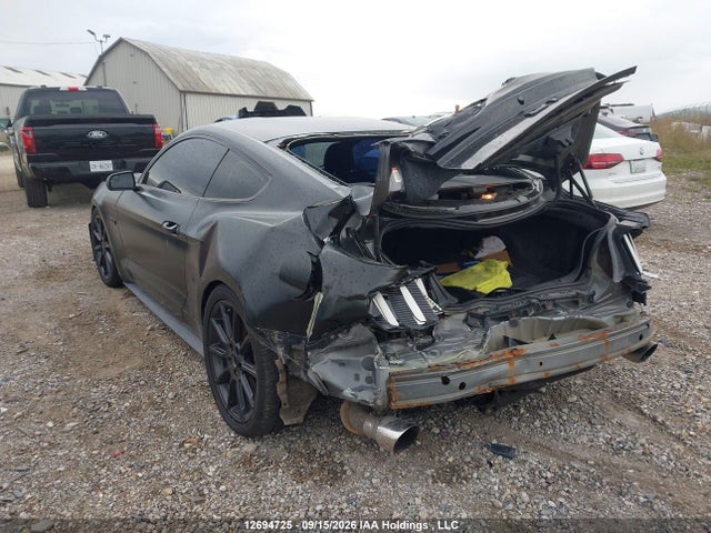 Ford MUSTANG GT 2016 1FA6P8CFXG5330476 Image 3