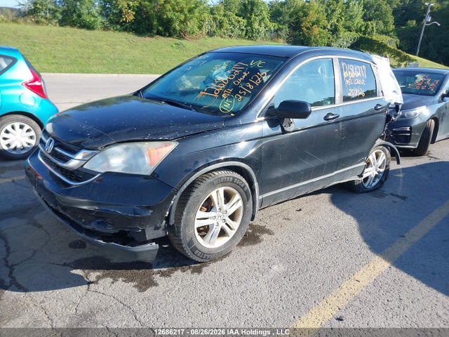 Продажа на аукционе авто 2011 Honda Cr-v Ex, vin: 5J6RE4H58BL817776, номер лота: 12686217