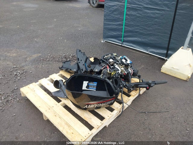 Продажа на аукционе авто 2019 Mercury Motor, vin: 0000000000R921508, номер лота: 12694978