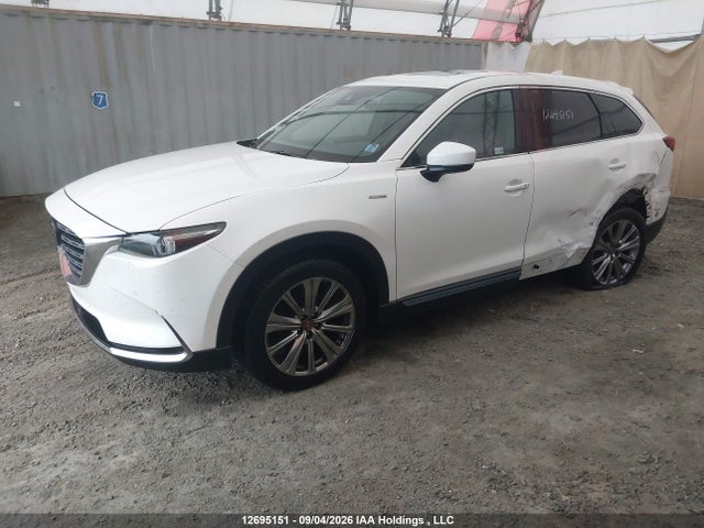Auction sale of the 2021 Mazda Cx-9 100th Anniversary Edition, vin: JM3TCBAY5M0450034, lot number: 12695151