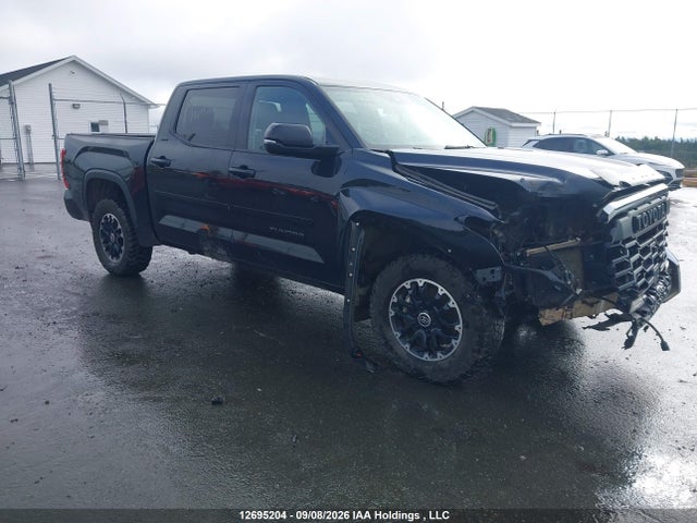 Aukcja sprzedaży 2023 Toyota Tundra Crewmax Sr/crewmax Sr5, vin: 5TFLA5DB4PX081623, numer aukcji: 12695204