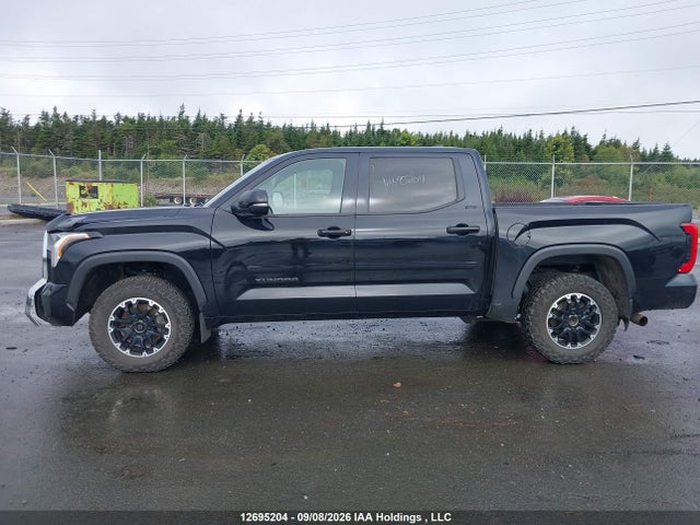 Aukcja sprzedaży 2023 Toyota Tundra Crewmax Sr/crewmax Sr5, vin: 5TFLA5DB4PX081623, numer aukcji: 12695204