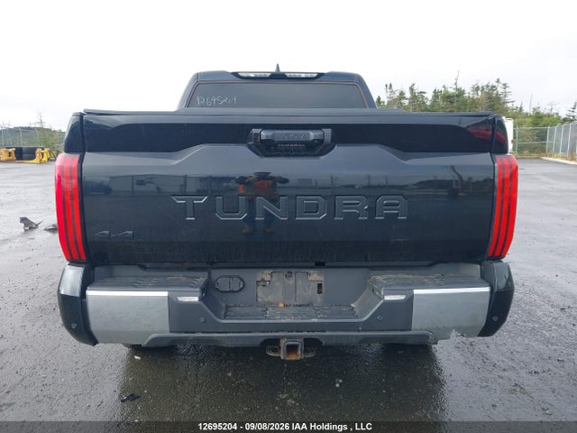 Aukcja sprzedaży 2023 Toyota Tundra Crewmax Sr/crewmax Sr5, vin: 5TFLA5DB4PX081623, numer aukcji: 12695204