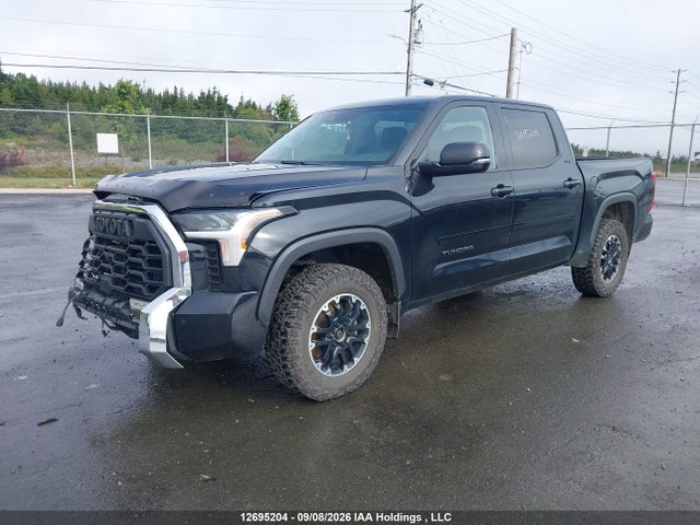 Aukcja sprzedaży 2023 Toyota Tundra Crewmax Sr/crewmax Sr5, vin: 5TFLA5DB4PX081623, numer aukcji: 12695204