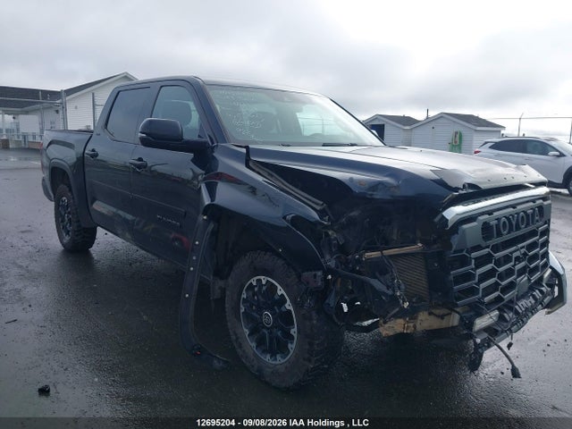 Aukcja sprzedaży 2023 Toyota Tundra Crewmax Sr/crewmax Sr5, vin: 5TFLA5DB4PX081623, numer aukcji: 12695204