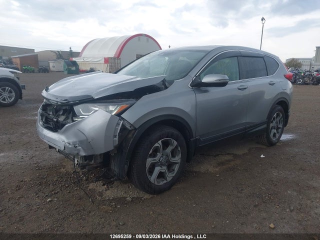 Honda CR-V EX 2019 2HKRW2H55KH136048 Image 2