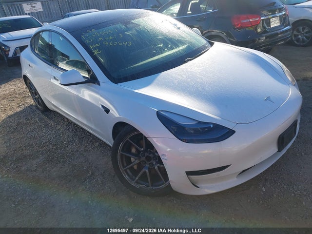 12695497 :رقم المزاد ، 5YJ3E1EA0MF963543 vin ، 2021 Tesla Model 3 مزاد بيع