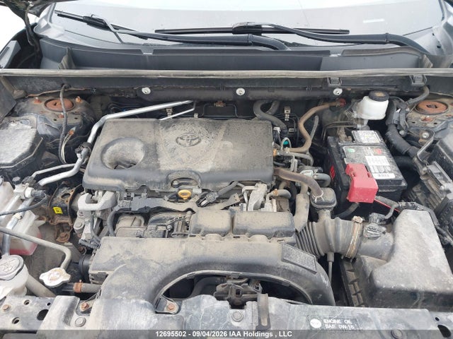 2T3B1RFVXLW113046 Toyota RAV4 LE