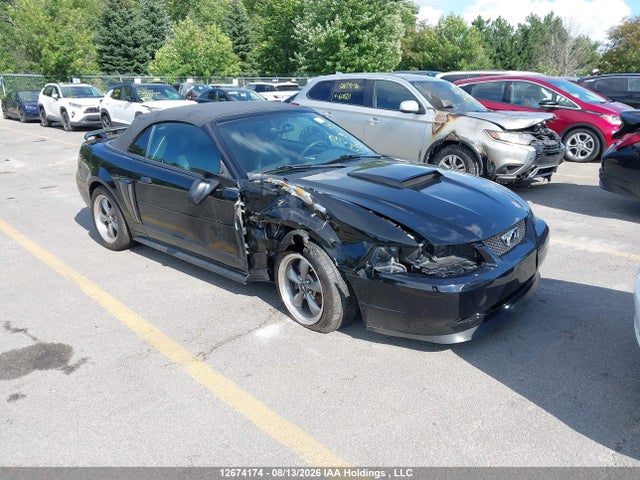 Aukcja sprzedaży 2003 Ford Mustang Gt, vin: 1FAFP45X23F378525, numer aukcji: 12674174