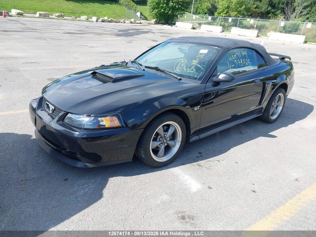 Aukcja sprzedaży 2003 Ford Mustang Gt, vin: 1FAFP45X23F378525, numer aukcji: 12674174