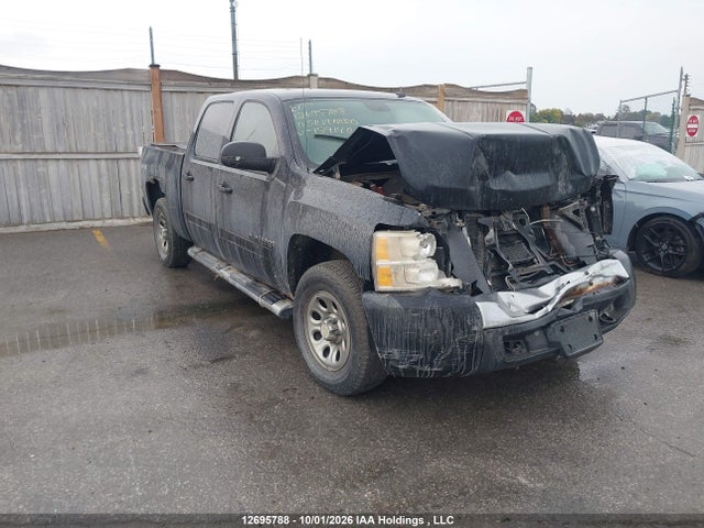 Продаж на аукціоні авто 2011 Chevrolet Silverado 1500 Ls, vin: 3GCPKREA1BG159140, номер лоту: 12695788