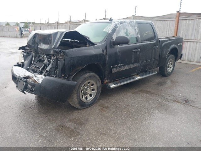 Продаж на аукціоні авто 2011 Chevrolet Silverado 1500 Ls, vin: 3GCPKREA1BG159140, номер лоту: 12695788