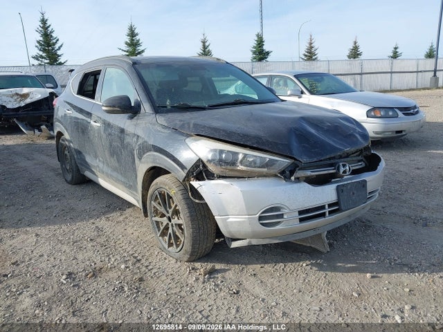 Продаж на аукціоні авто 2017 Hyundai Tucson Limited/sport And Eco/se, vin: KM8J3CA28HU382534, номер лоту: 12695814