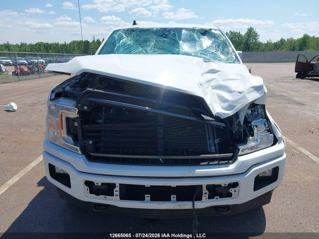 Продаж на аукціоні авто 2020 Ford F-150 Xlt, vin: 1FTEX1EP0LFC43421, номер лоту: 12665065