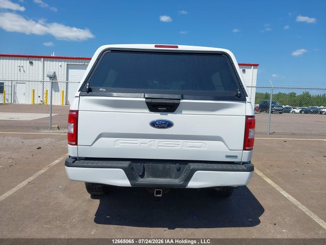 Продаж на аукціоні авто 2020 Ford F-150 Xlt, vin: 1FTEX1EP0LFC43421, номер лоту: 12665065