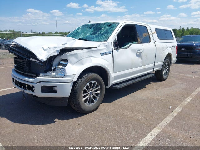 Продаж на аукціоні авто 2020 Ford F-150 Xlt, vin: 1FTEX1EP0LFC43421, номер лоту: 12665065