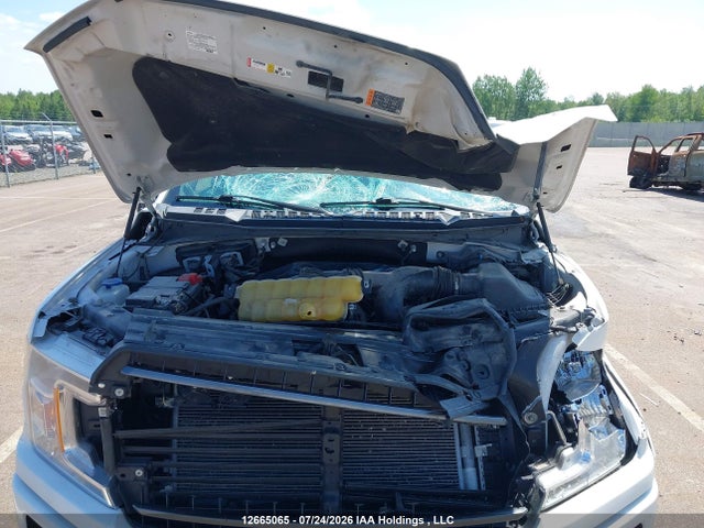 Продаж на аукціоні авто 2020 Ford F-150 Xlt, vin: 1FTEX1EP0LFC43421, номер лоту: 12665065