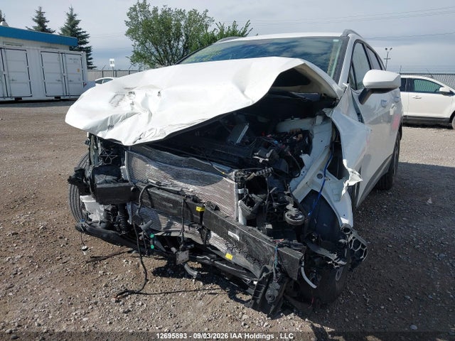 KIA Sportage Lx 2026 KNDPU3DF7T7424743 Image 6