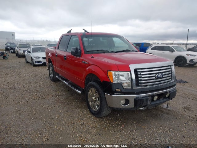 2010 Ford F-150 Xlt მანქანა იყიდება აუქციონზე, vin: 1FTFW1EV0AFD46356, აუქციონის ნომერი: 12695936