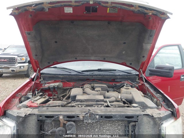 2010 Ford F-150 Xlt მანქანა იყიდება აუქციონზე, vin: 1FTFW1EV0AFD46356, აუქციონის ნომერი: 12695936