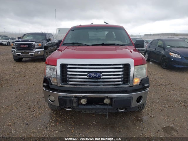 2010 Ford F-150 Xlt მანქანა იყიდება აუქციონზე, vin: 1FTFW1EV0AFD46356, აუქციონის ნომერი: 12695936