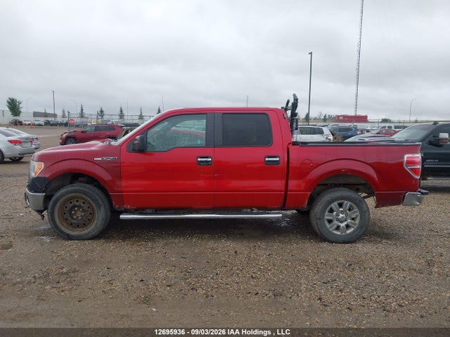 2010 Ford F-150 Xlt მანქანა იყიდება აუქციონზე, vin: 1FTFW1EV0AFD46356, აუქციონის ნომერი: 12695936
