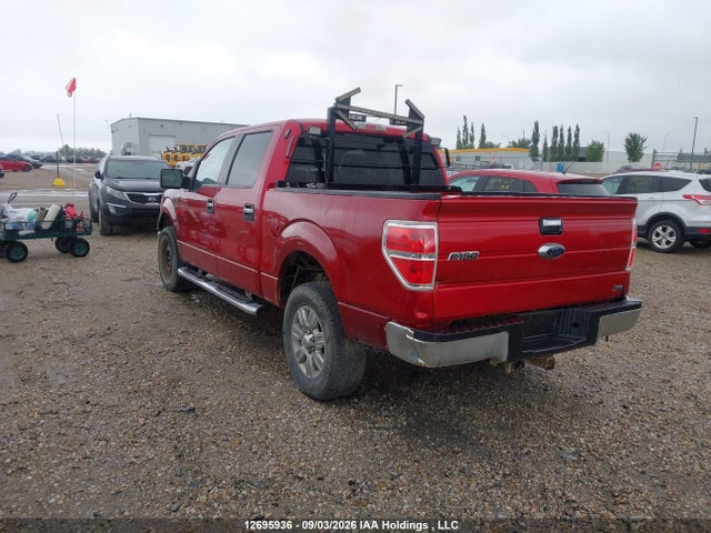 2010 Ford F-150 Xlt მანქანა იყიდება აუქციონზე, vin: 1FTFW1EV0AFD46356, აუქციონის ნომერი: 12695936