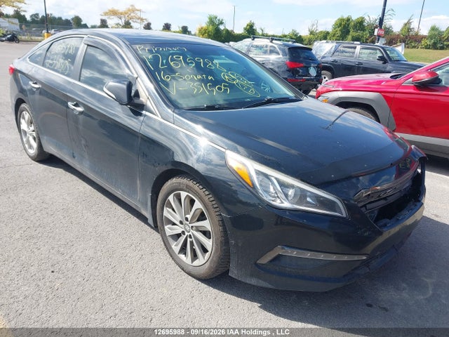 Продажа на аукционе авто 2016 Hyundai Sonata Gls Special Edition, vin: 5NPE24AF8GH351505, номер лота: 12695988