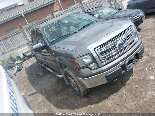 Auction sale of the 2010 Ford F-150 Xlt, vin: 1FTEW1E82AFB99379, lot number: 12696133