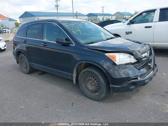 Продаж на аукціоні авто 2007 Honda Cr-v Ex, vin: 5J6RE48527L804142, номер лоту: 12666578