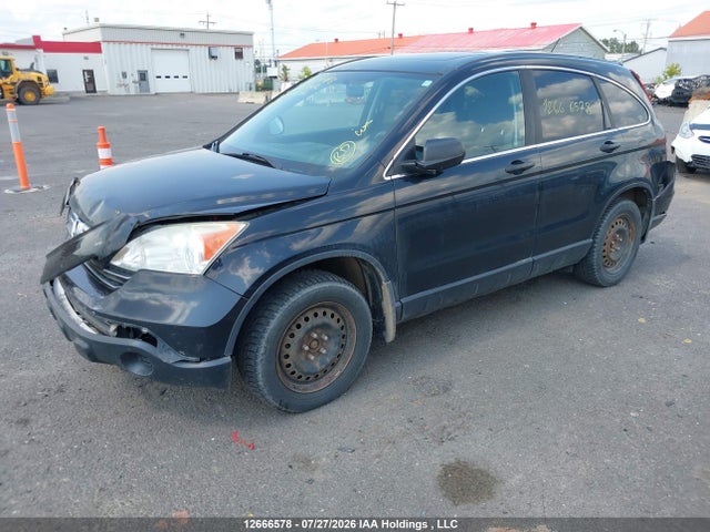Продаж на аукціоні авто 2007 Honda Cr-v Ex, vin: 5J6RE48527L804142, номер лоту: 12666578