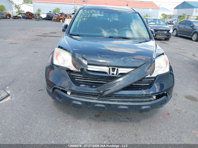 Продаж на аукціоні авто 2007 Honda Cr-v Ex, vin: 5J6RE48527L804142, номер лоту: 12666578